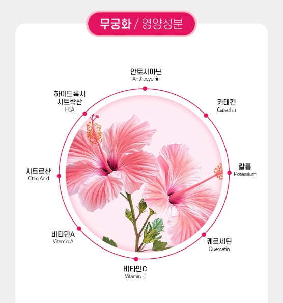 리얼핏 무궁화정 안토시아닌 무궁화복합분말 히비스커스 모로오렌지 카테킨 해썹 효능 - 상세 이미지 4