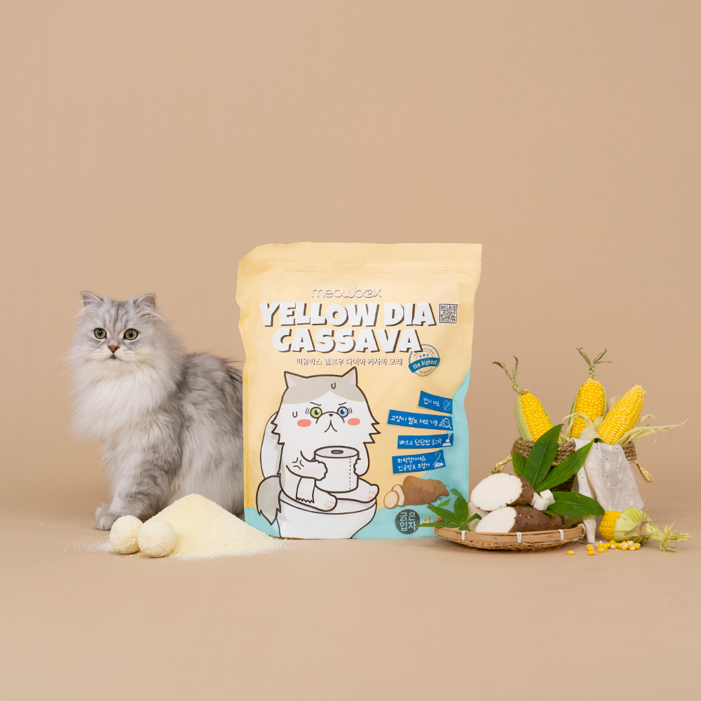 미유박스 브라질 카사바 고양이모래 저먼지 옐로우다이아 프리미엄 굵은입자, 4.5kg, 1개 이미지 2