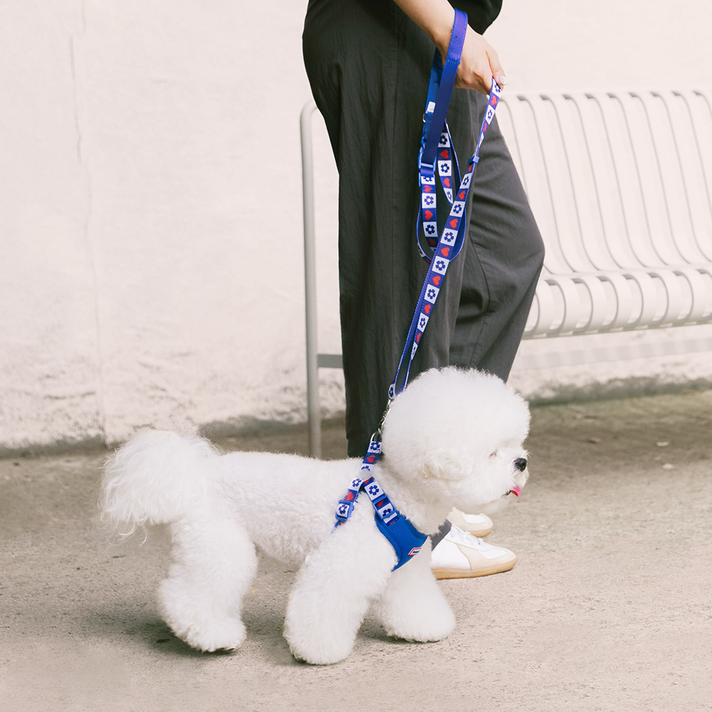 강아지 리드줄 산책줄 핸즈프리 리쉬 하트팝