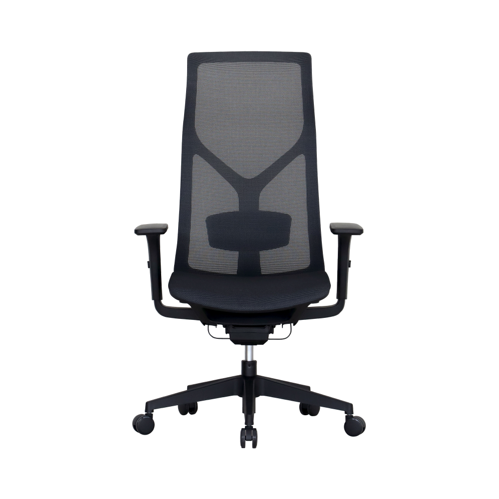 올즈 카이든 PRO 풀메쉬 하이백 컴퓨터의자