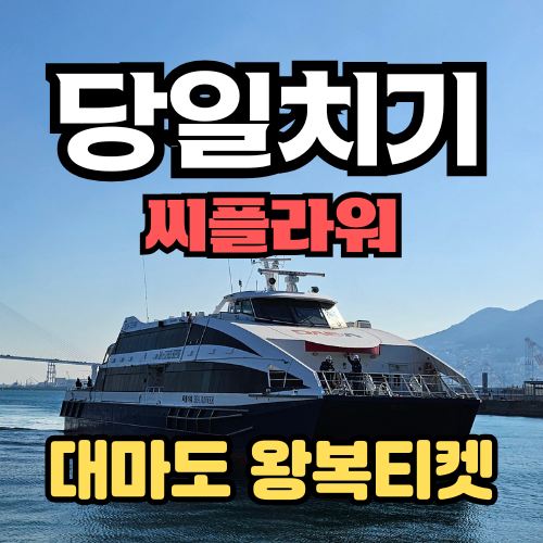 씨플라워호 당일치기 대마도 배편 히타카츠 이즈하라 왕복 승선권 씨플라워호 일본 자유 여행 대마도배 - 상품 이미지