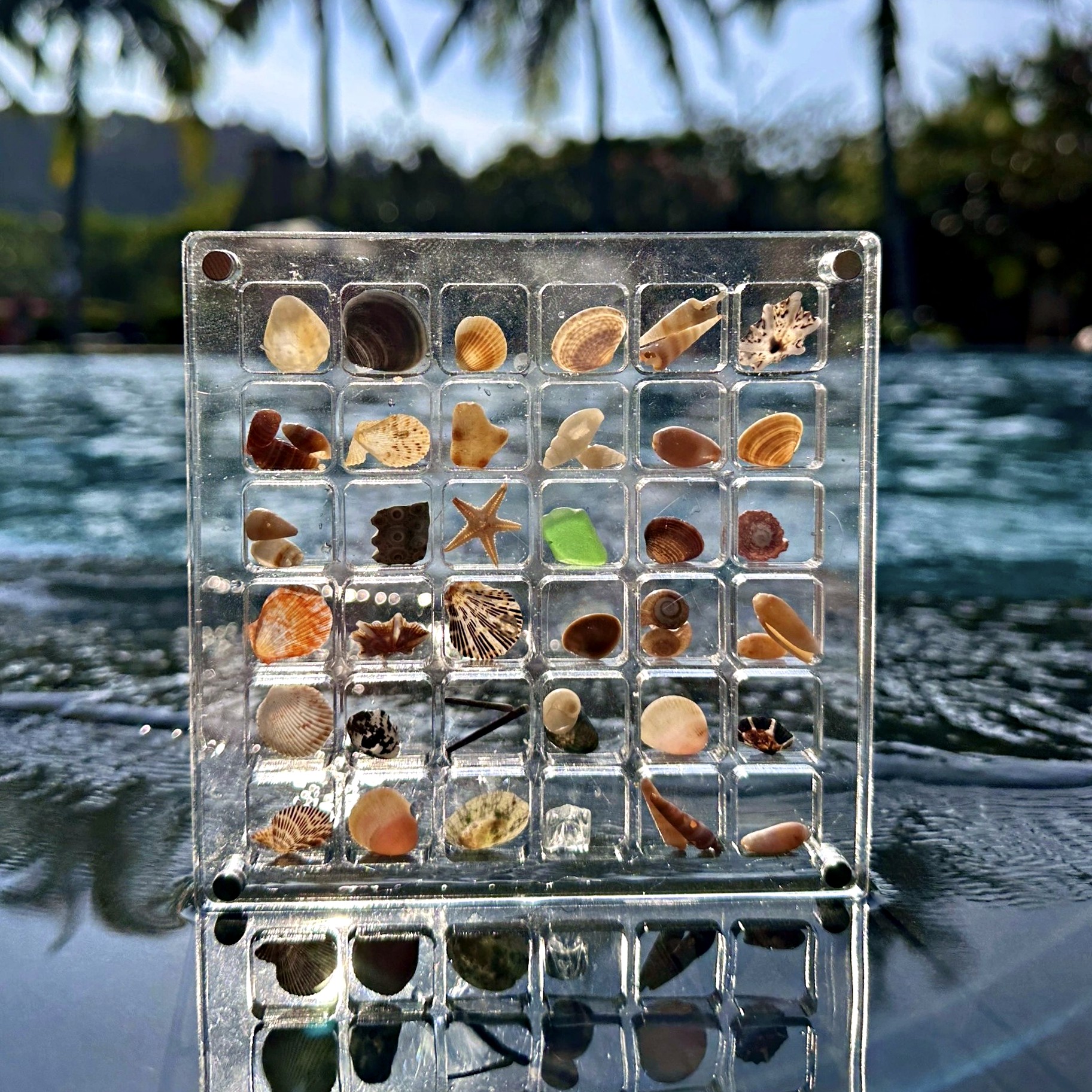 아크릴 악세사리 보관함 콩알금 조개 비즈 주얼리 케이스 미니 보석함