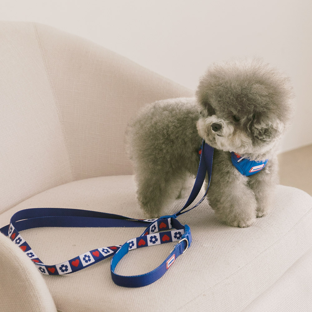 강아지 리드줄 산책줄 핸즈프리 리쉬 하트팝