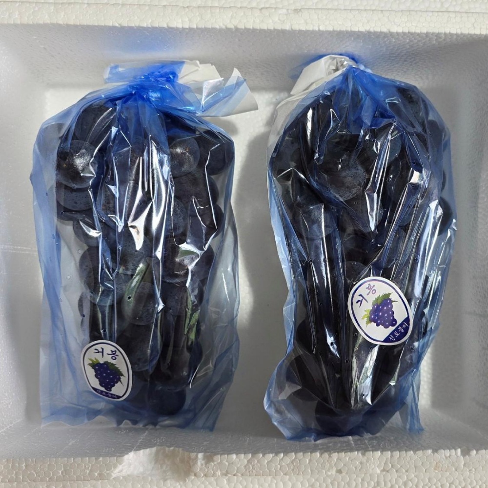 거봉포도 김천포도 영천 경산 제철 고당도 국산 여름 하우스 2kg, 1개 이미지 7