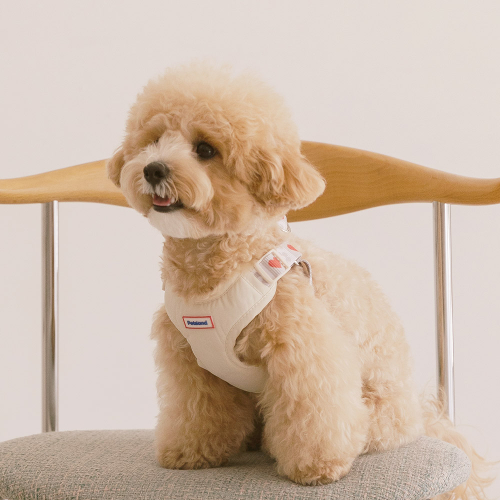 강아지 하네스 소형견 X형 H형 하네스 세트 하트팝 이미지 3