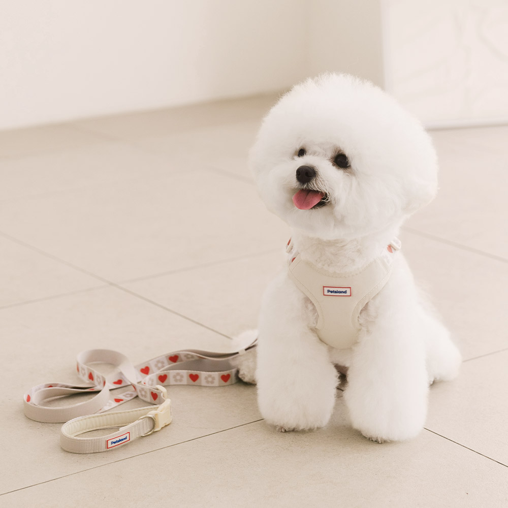 강아지 리드줄 산책줄 핸즈프리 리쉬 하트팝