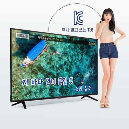 TJ미디어 TJ미디어 태진 TD-LED 43-50-55인치 Full HD 모니터TV(강화유리 장착)