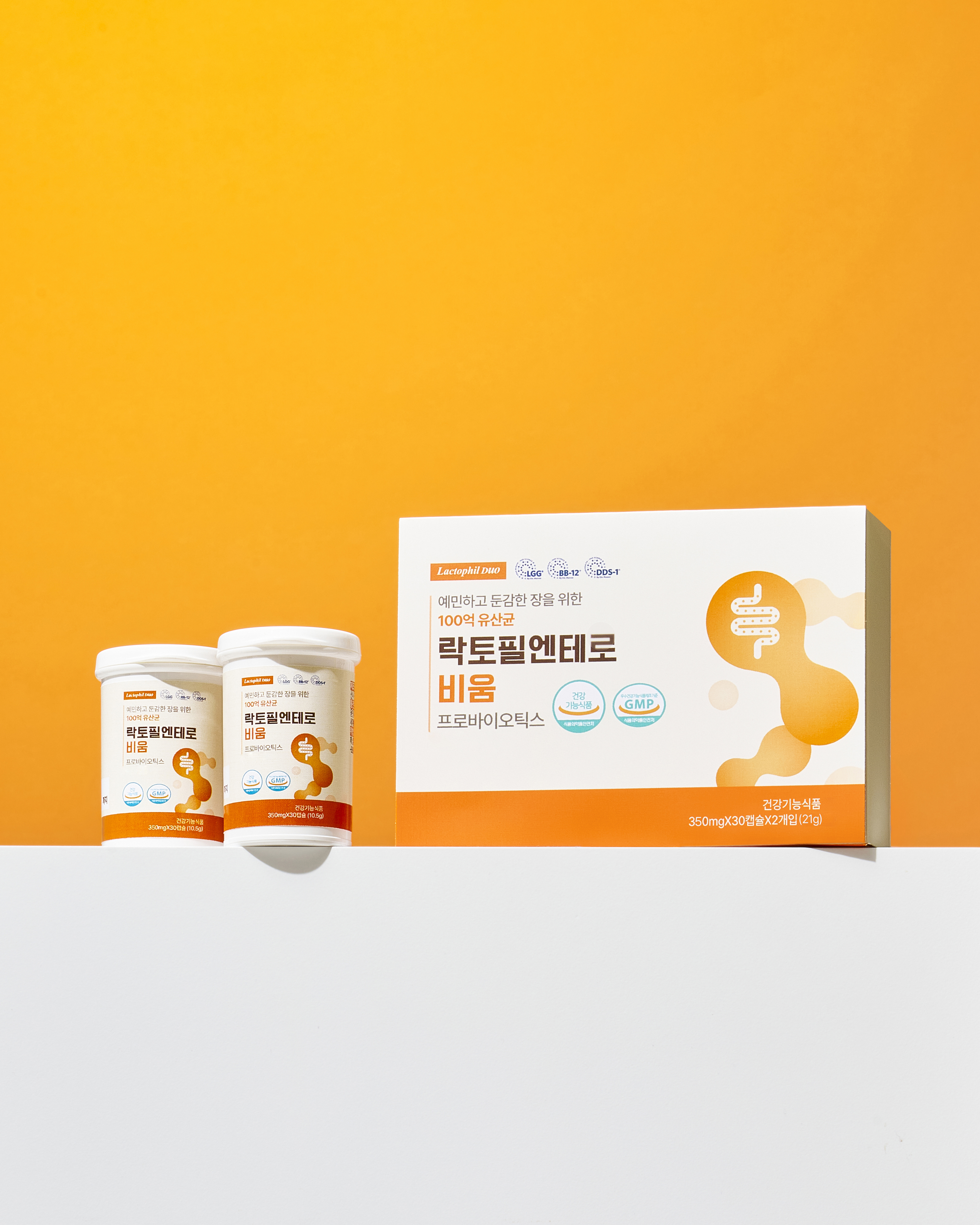 락토필엔테로 비움 장유산균 60캡슐, 1개 - 상세 이미지 2