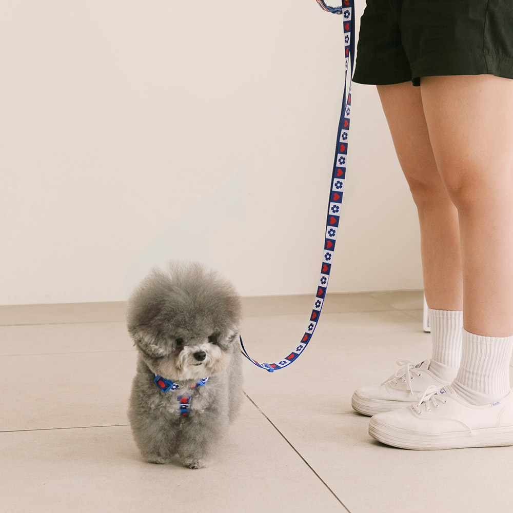 강아지 리드줄 산책줄 핸즈프리 리쉬 하트팝