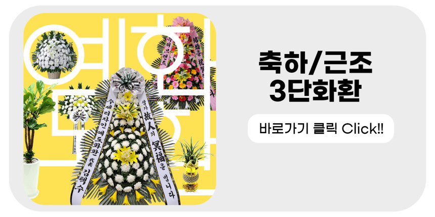 금전수 돈나무 개업 이전 취임 승진 개업식 축하 화분 돈세다잠드소서 화환 전국꽃배달서비스 - 상세 이미지 4