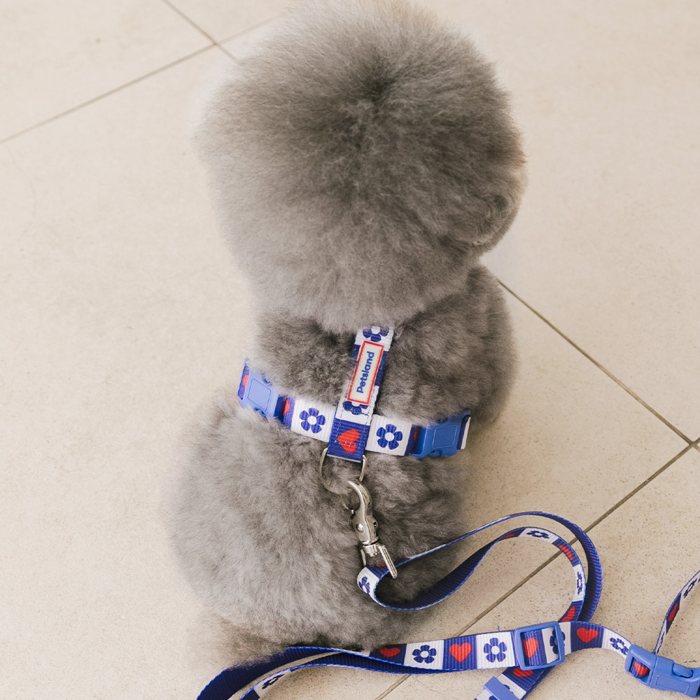 강아지 하네스 소형견 H형 하네스 세트 가슴줄 목줄 하트팝