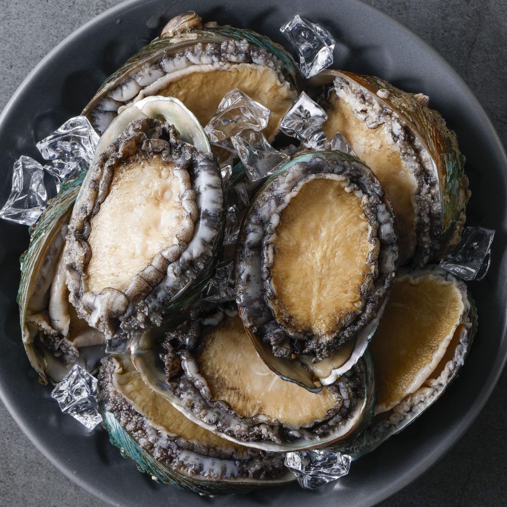 완도 프리미엄 활전복 특대전복 1kg 6-8미 산지직송