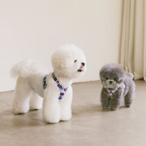 강아지 하네스 소형견 H형 하네스 세트 가슴줄 목줄 하트팝 솔직 후기 | 실제 사용자 리뷰 총정리 - 상품 이미지 4