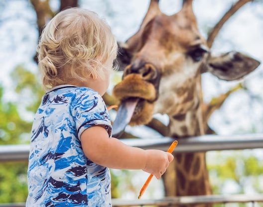 다낭 빈원더스 남호이안 투어 마사지 워터파크 왕복 픽업샌딩 단독/조인