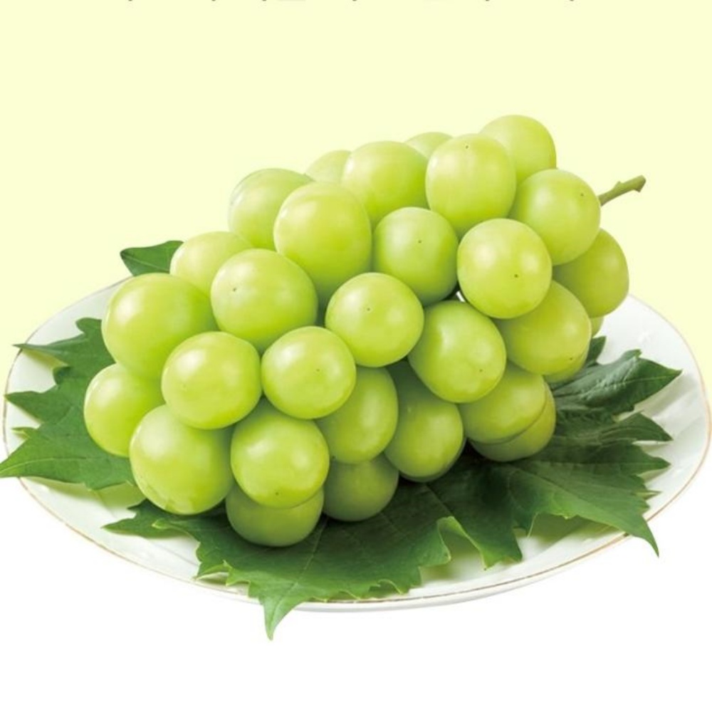 샤인머스캣 제철샤인머스켓 김천포도 상주 고당도 여름 껍질째먹는 씨없는포도 400g, 1개