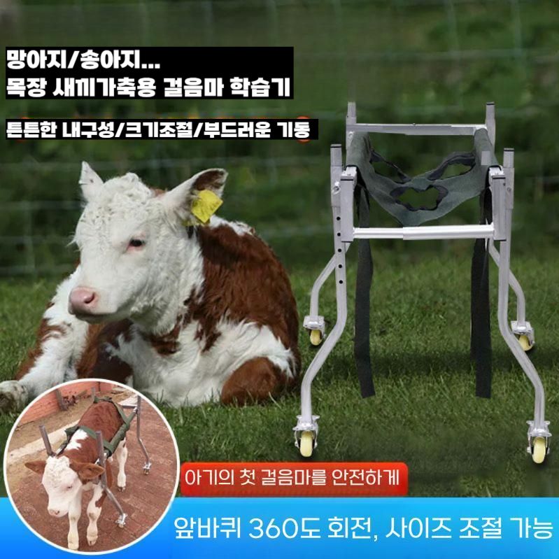 송아지 걸음마 보조기구 새끼소 염소 망아지 보행기 - 상세 이미지 5