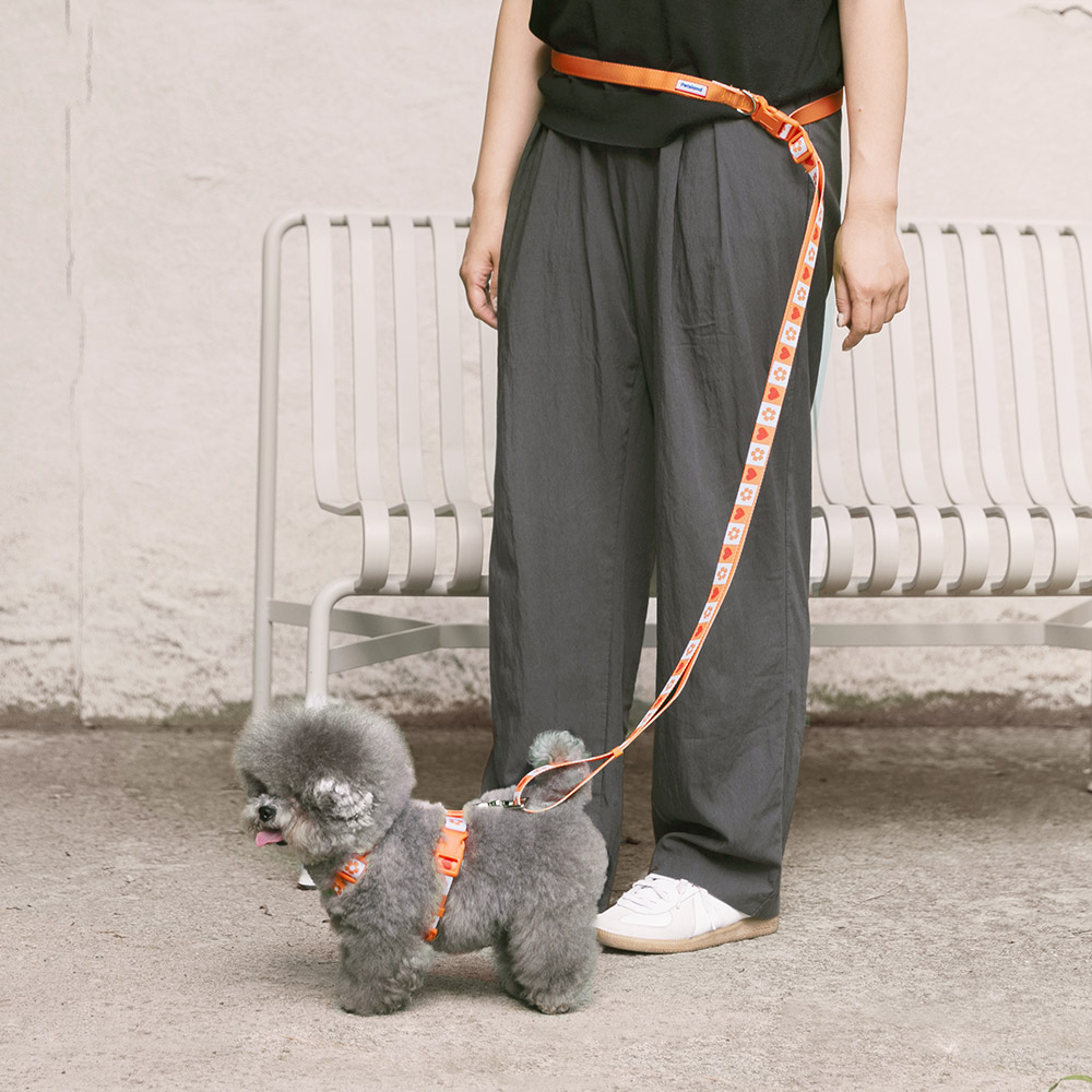 강아지 리드줄 산책줄 핸즈프리 리쉬 하트팝