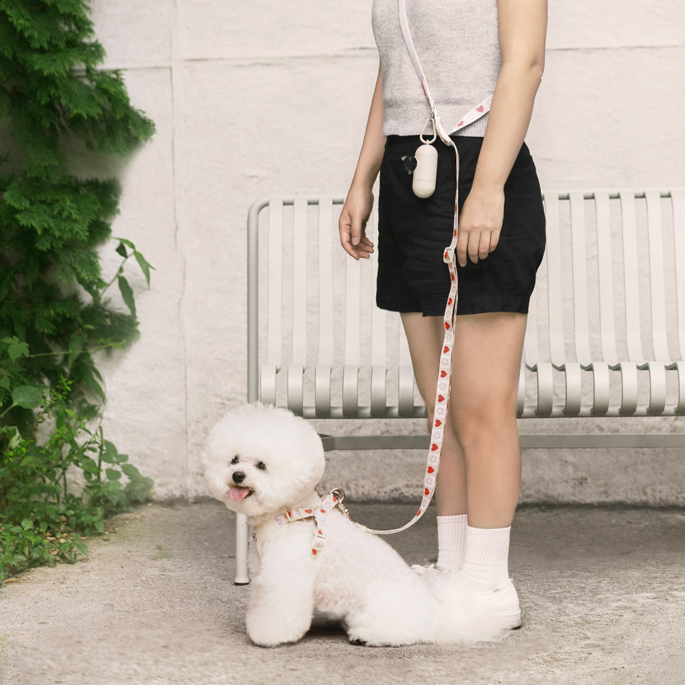 강아지 리드줄 산책줄 핸즈프리 리쉬 하트팝