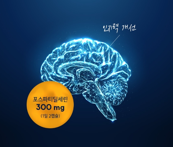 미국직수입 포스파디딜세린 노화 인지력 면역 두뇌건강 포스타디딜세린 효능 브레인 레스큐 - 상세 이미지 4