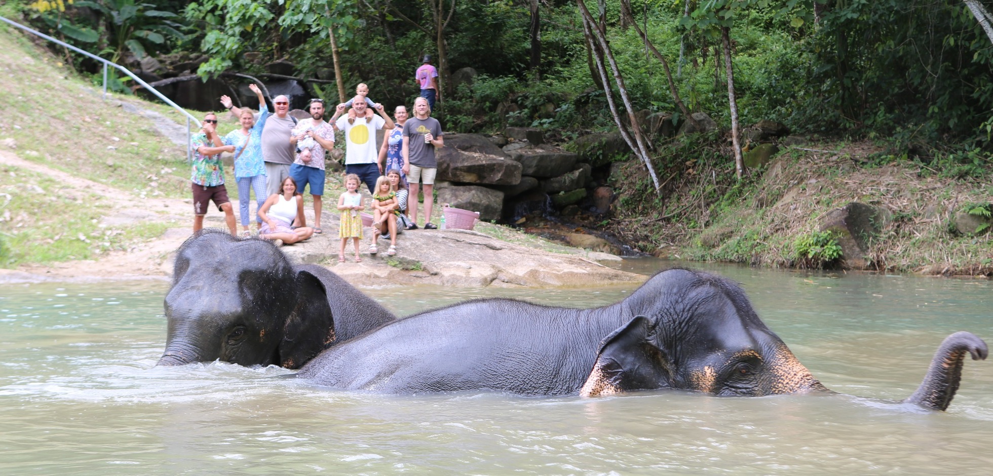 [기프티콘 이벤트] 코사무이 코끼리 정글 보호 캠프(Elephant Sanctuary) 방문 - 상세 이미지 4
