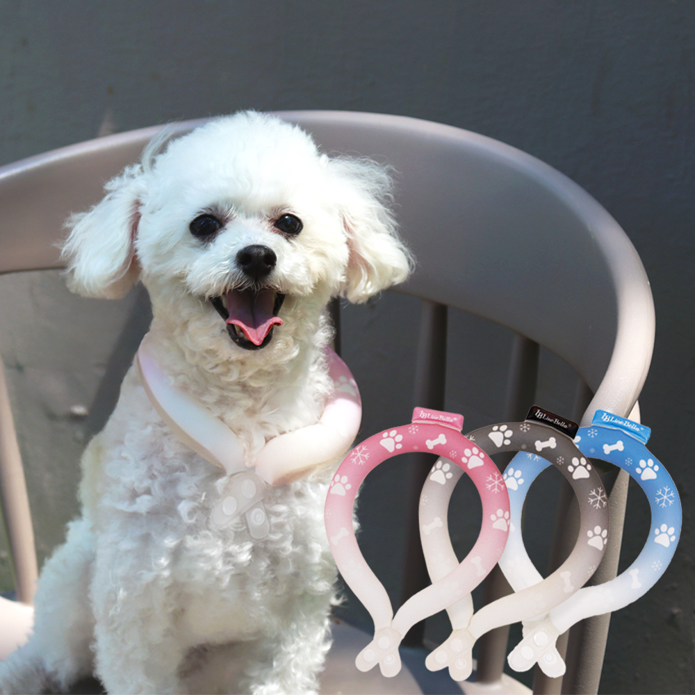 라인벨라 아이스 댕쿨러 강아지 고양이 쿨스카프 여름용 반려견 넥쿨러 소형견 중형견 쿨넥밴드 이미지 6