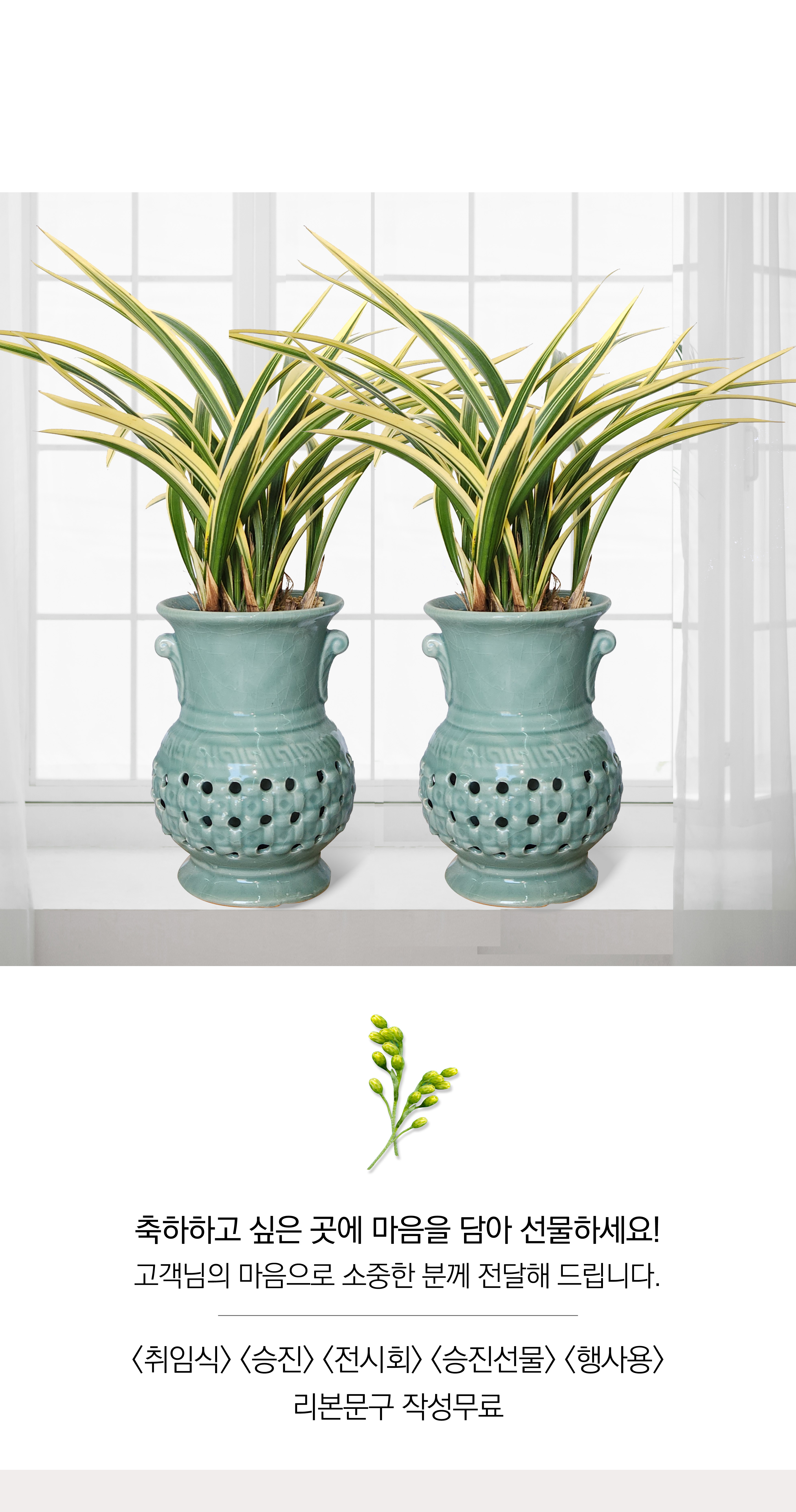 동양란 황금일향 투각분 개업 이취임 승진난 개업식 축하화분 서양란 사무실 이전 전국배송