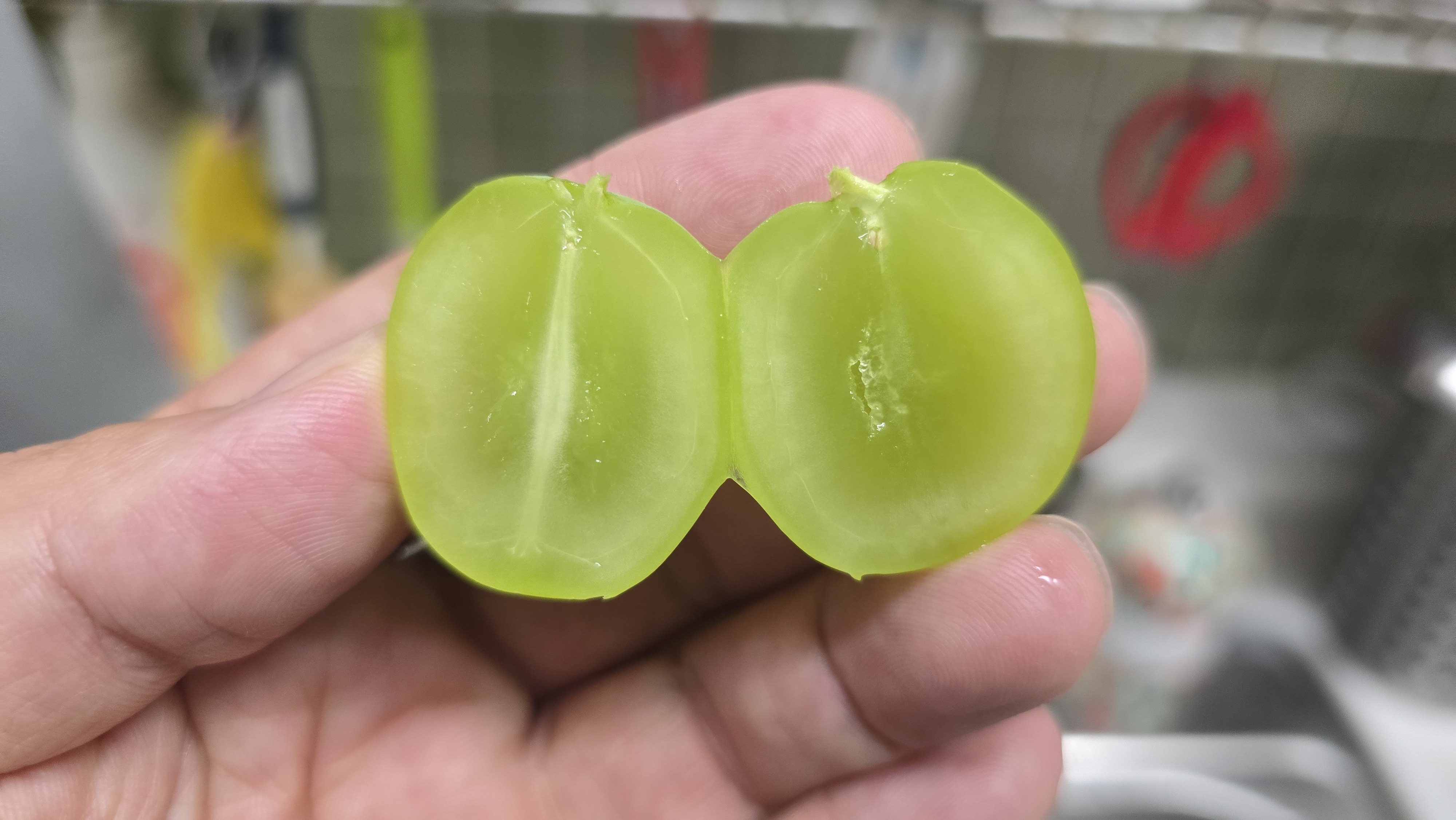 국내산 샤인머스켓 거봉 캠벨 포도 초고당도 프리미엄 제철과일 선물세트 1kg, 2kg - 상세 이미지 5