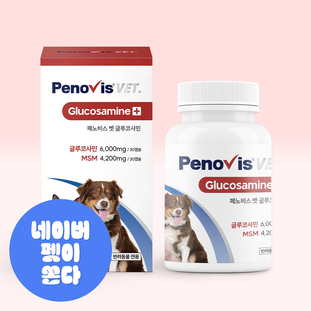 페노비스 강아지 관절영양제 슬개골 연골 관절염 고양이 칼슘 노견영양제 캡슐 벳 글루코사민
