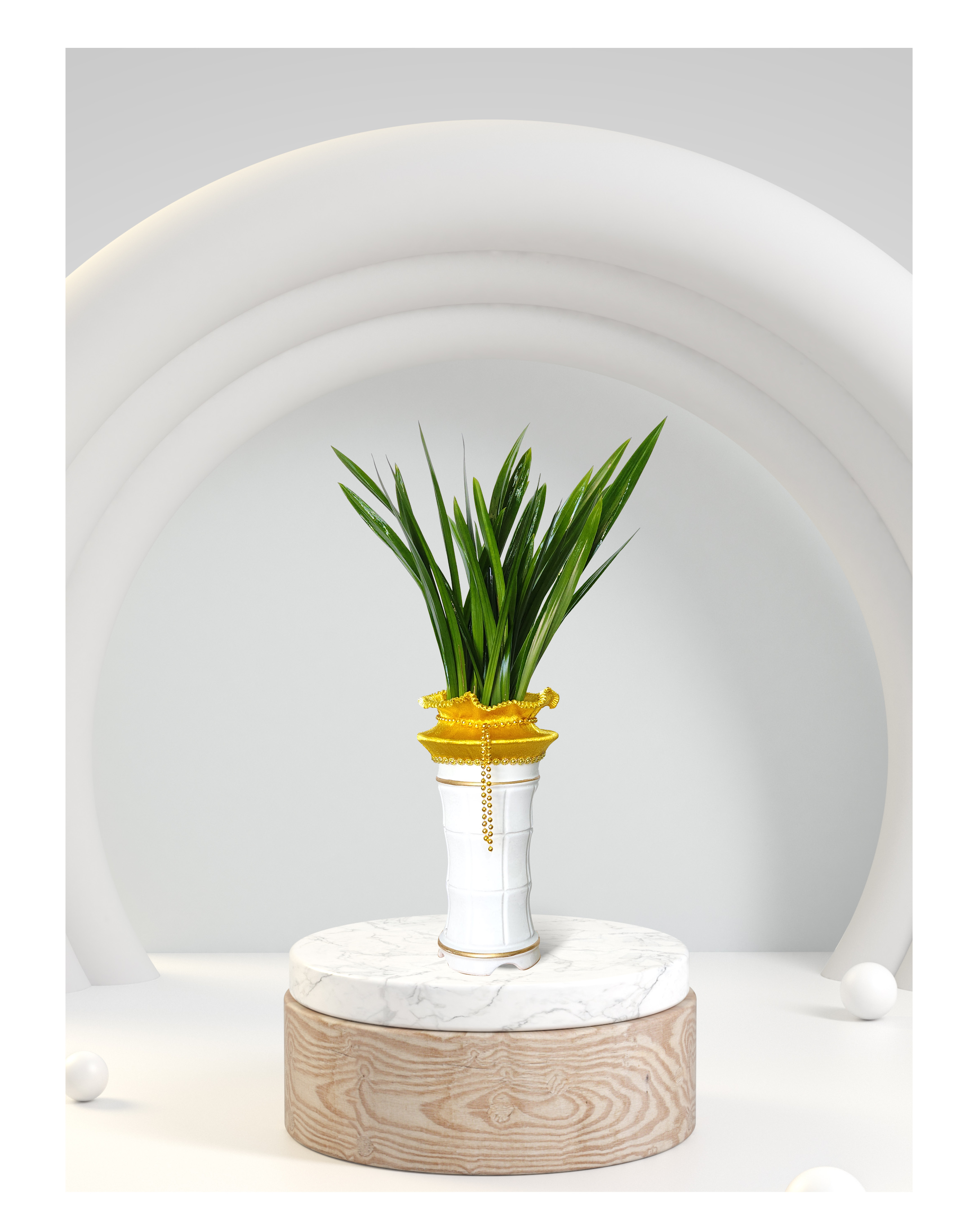 동양란 산천보세 개업 이취임 승진난 개업식 축하화분 공기정화식물 사무실 이전 전국배송