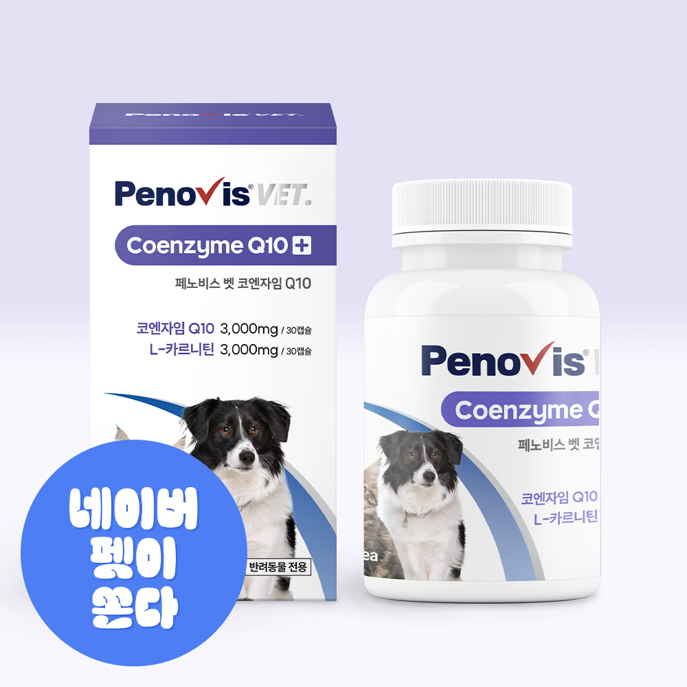 페노비스 강아지 심장영양제 항산화 코큐텐 활력 노령견 면역력 고양이 타우린 코엔자임Q10