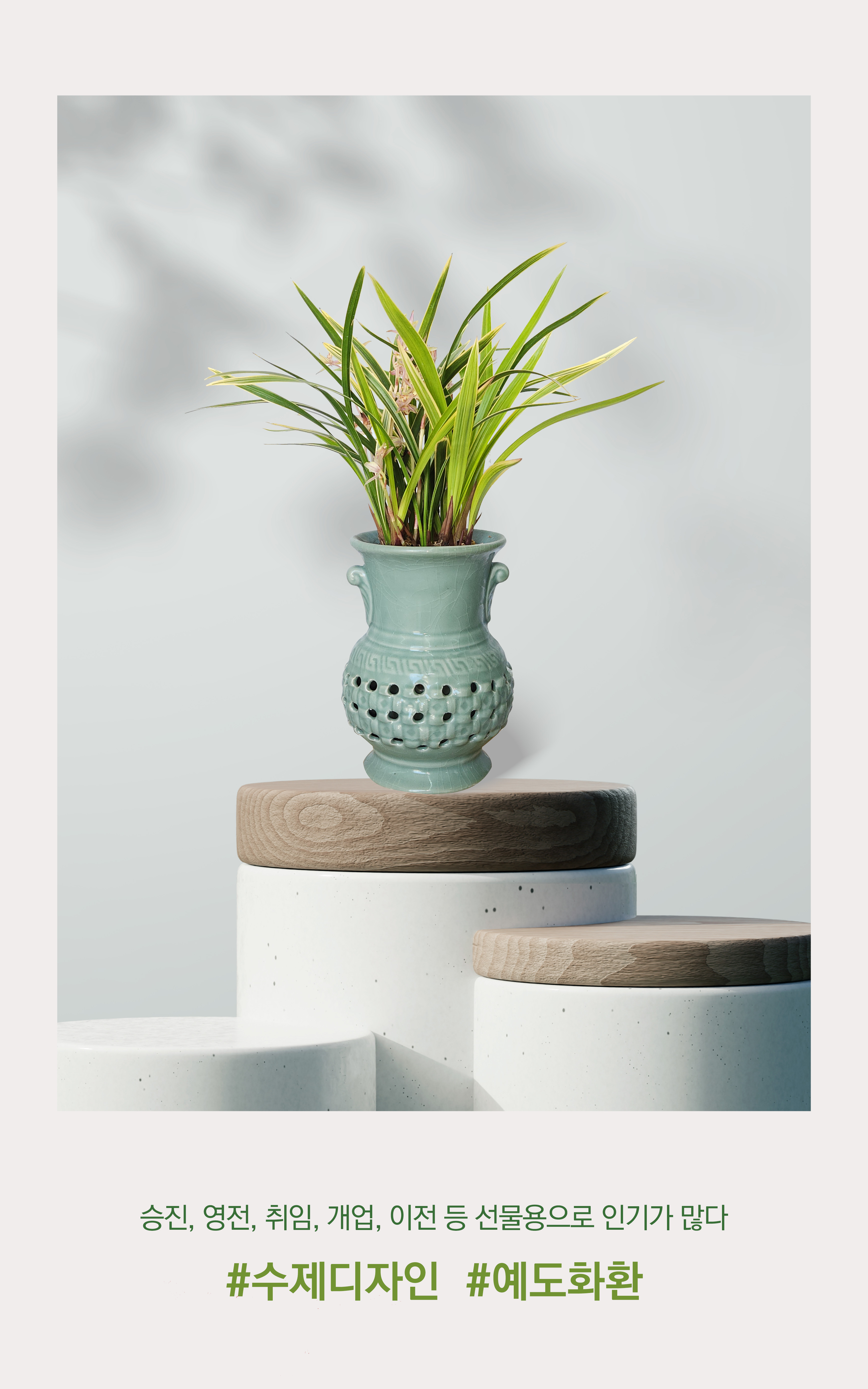 동양란 황금일향 투각분 개업 이취임 승진난 개업식 축하화분 서양란 사무실 이전 전국배송