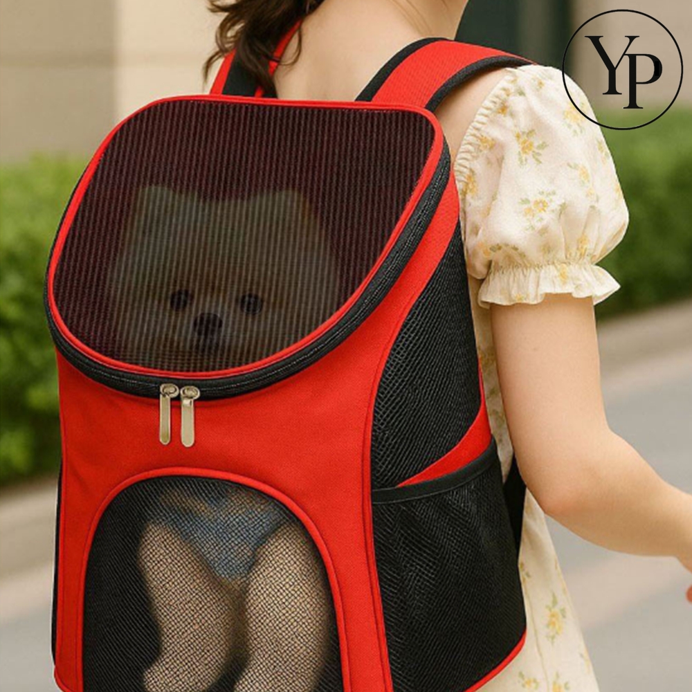 강아지 이동 가방 백팩 메쉬 통풍 산책 포대기 이동장 고양이 켄넬