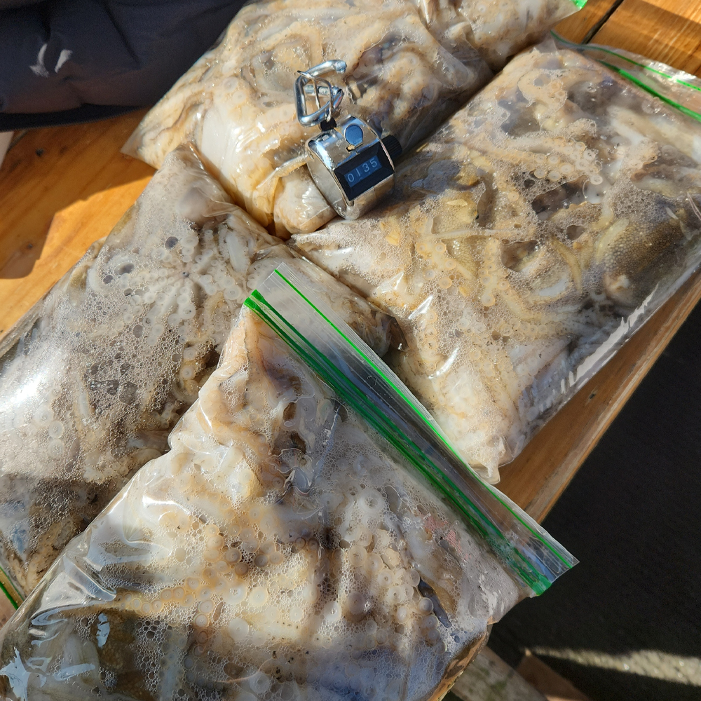 마리수 쭈갑로드 갑오징어낚시대 티탄팁 아티코스 초경량 74g - 상세 이미지 3