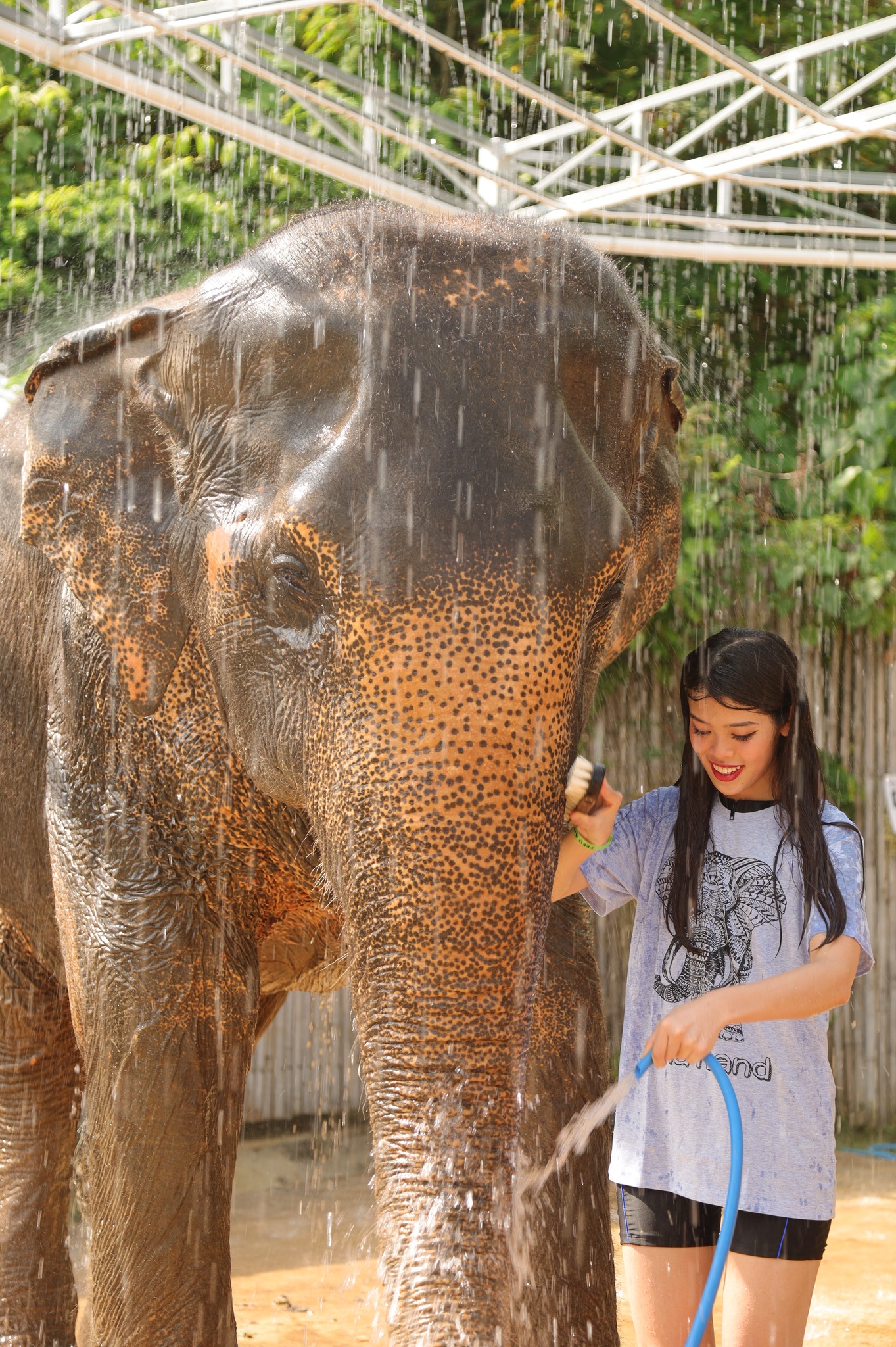 [기프티콘 이벤트] 크라비 아오낭 코끼리 보호 캠프(Elephant Sanctuary) 방문 투어 - 상세 이미지 3