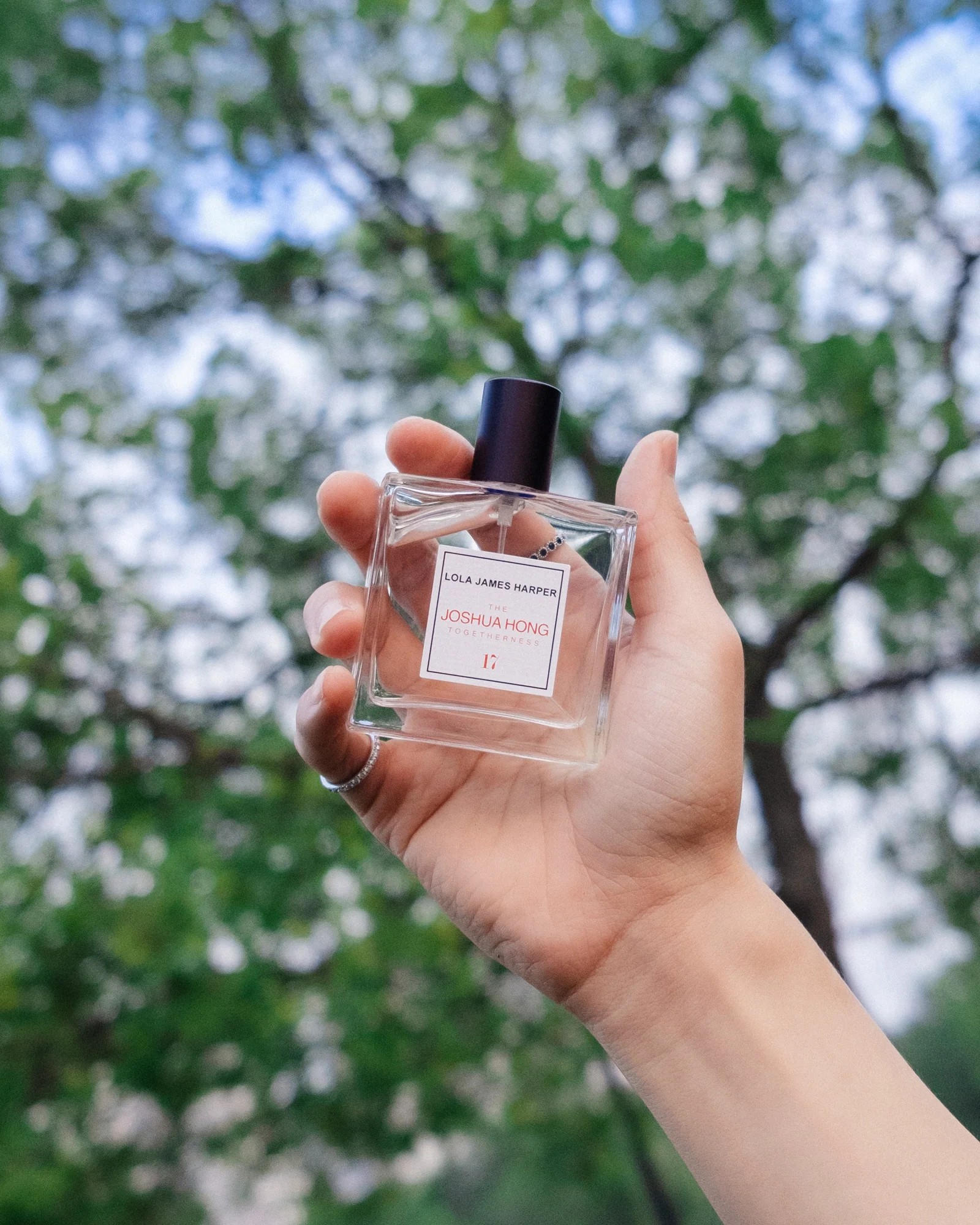 86329806138890211 772810132