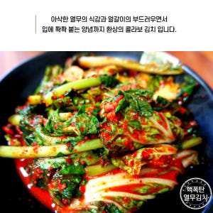 핵폭탄 열무얼갈이김치 매운 실비 오리지널 2kg, 1개 맛있게 먹은 솔직 후기 - 상품 이미지 4