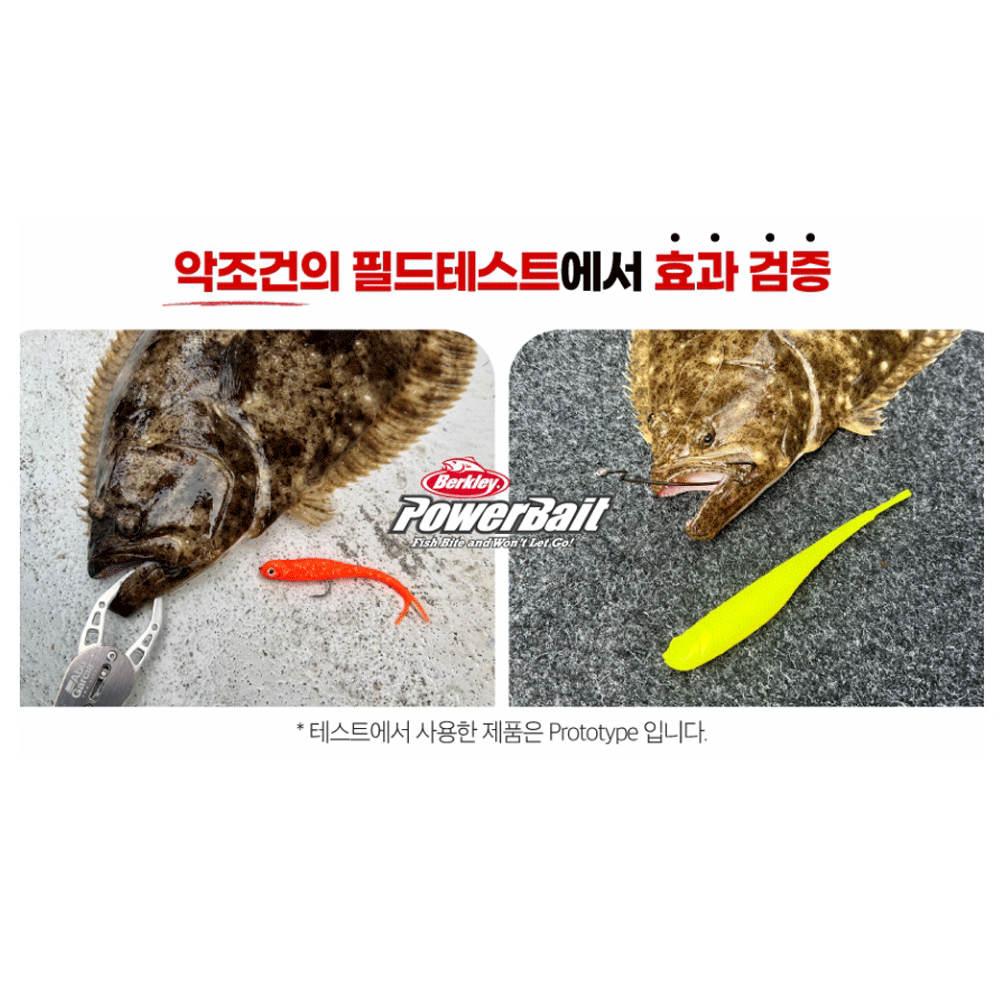 버클리 파워 저크쉐드 광어 다운샷 루어 웜 소프트베이트 전어, 12.7cm(5인치) - 상세 이미지 2