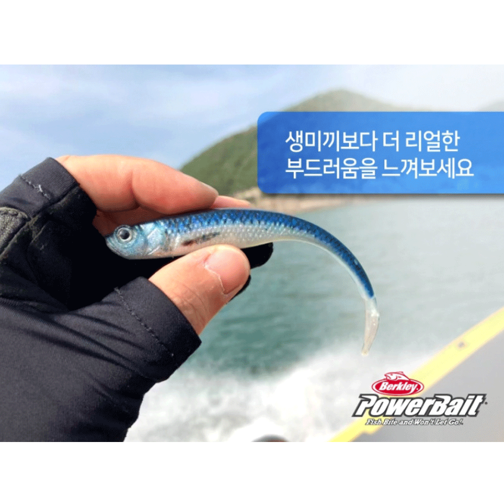 버클리 파워베이트 UV 듀얼 저크쉐드 광어 다운샷 루어 웜 소프트베이트 ACV, 12.7cm(5인치) - 상세 이미지 5