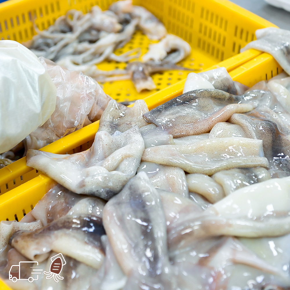 손질완료 원양산 오징어 급냉 통오징어 청결 손질 500g - 상세 이미지 3