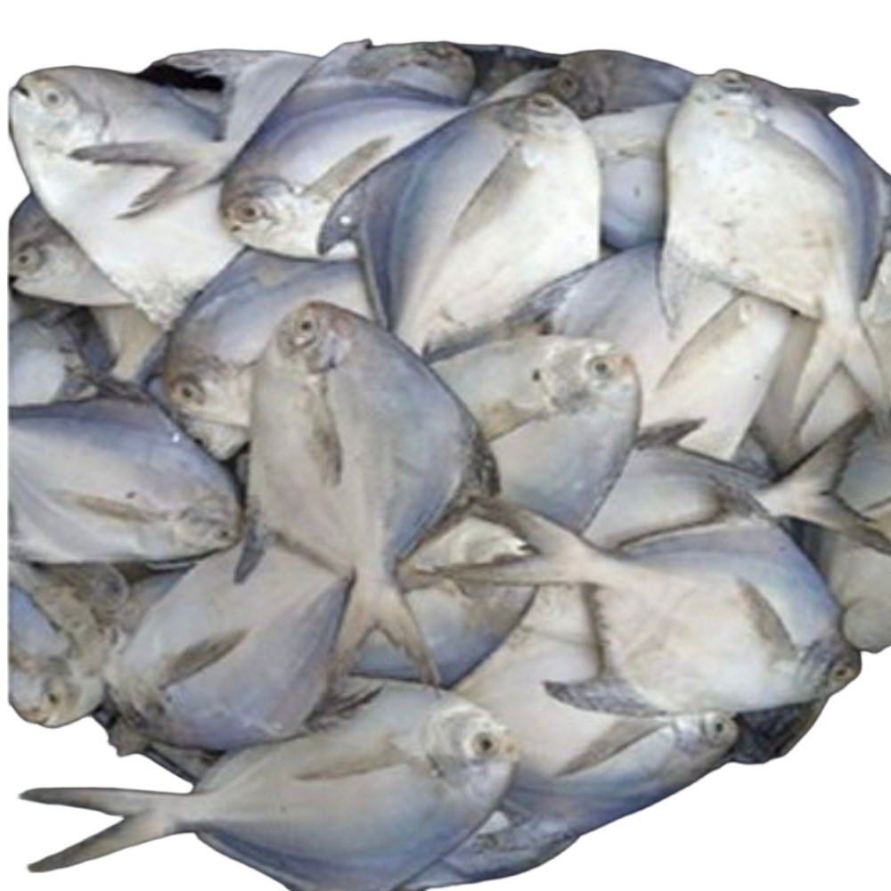 국내산 손질 병어 1kg 조림 제수용 - 상세 이미지 3