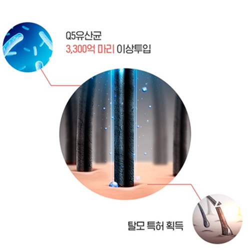 신비랩 두피 김치 유래 유산균 30포 1박스 1개월 아누카사과 분말 비오틴 풍성한 자신감 이미지 6