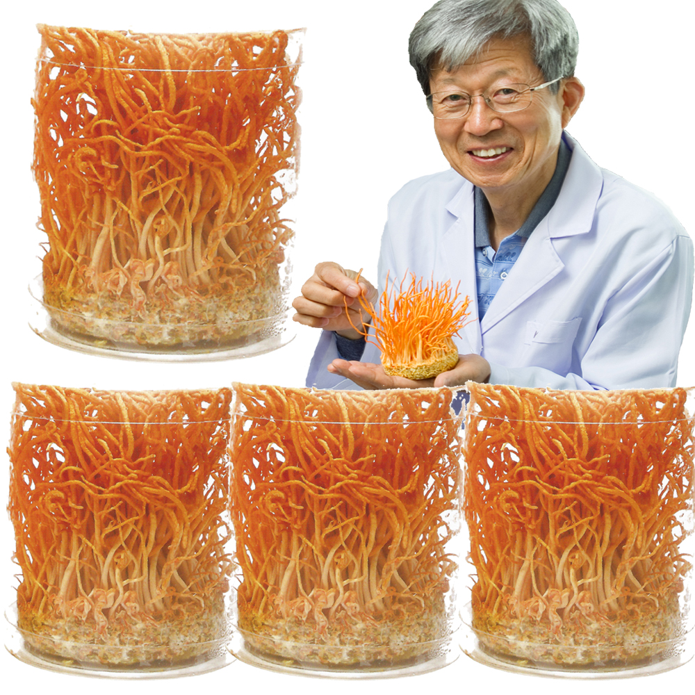 성재모동충하초  비로 80g 이미지 2