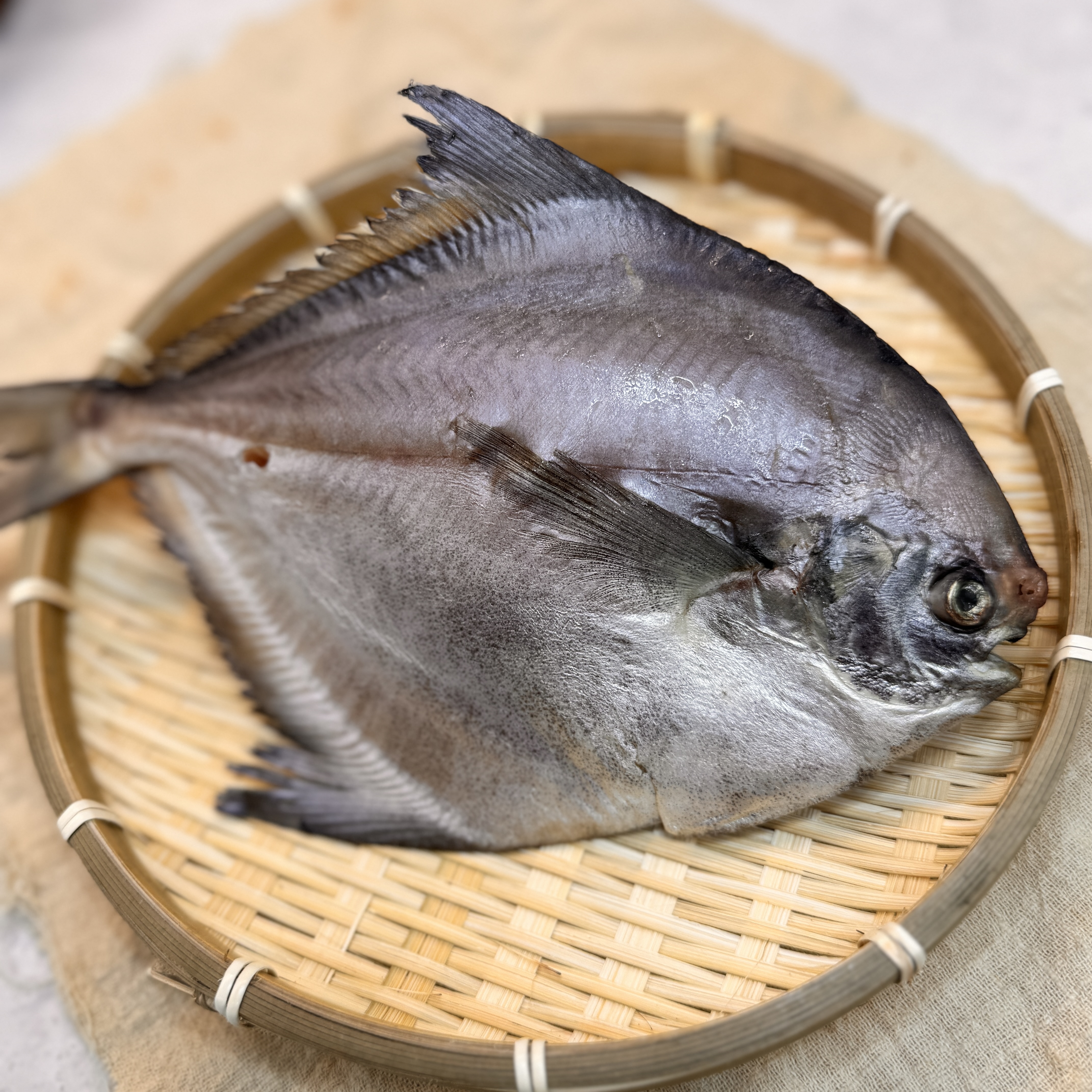 국내산 반건조 병어 병치 자연산 제수용 제사 덕자 덕대 손질 말린 구이 170g, 5개 - 상세 이미지 4