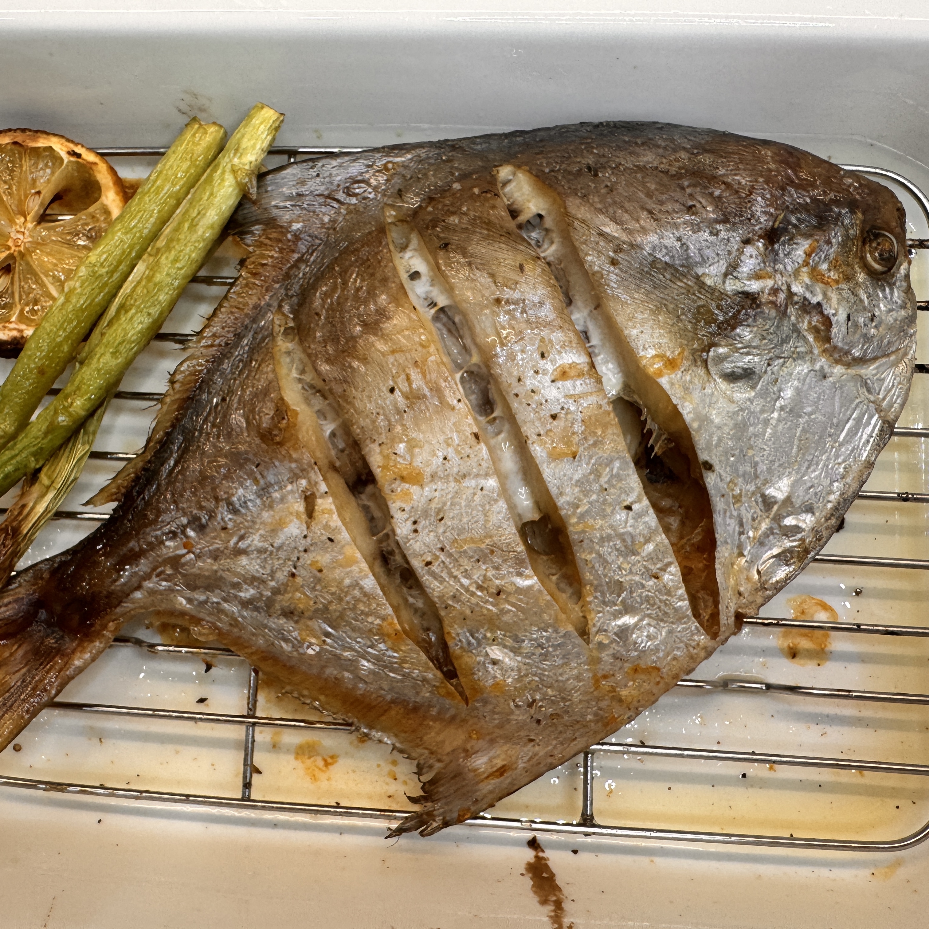 국내산 반건조 병어 병치 자연산 제수용 제사 덕자 덕대 손질 말린 구이 170g, 5개 - 상세 이미지 2