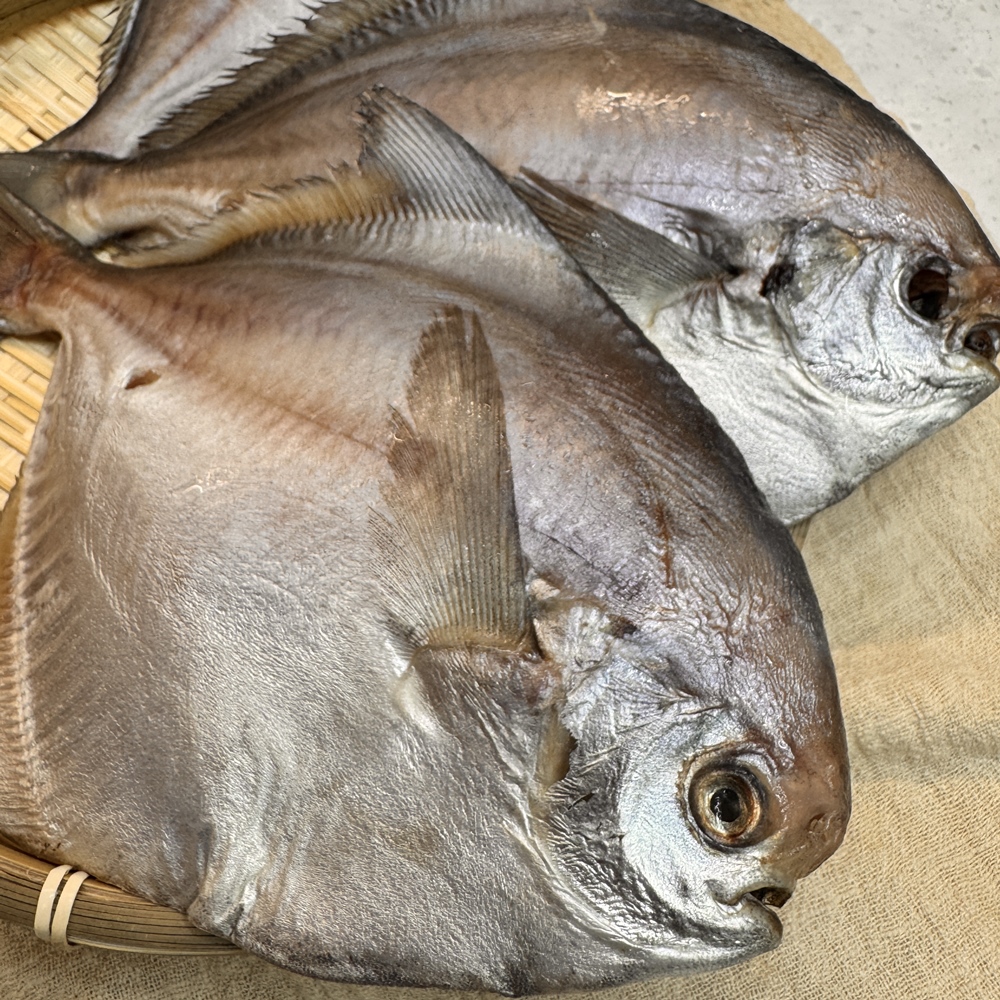 국내산 반건조 병어 병치 자연산 제수용 제사 덕자 덕대 손질 말린 구이 170g, 5개 - 상세 이미지 3