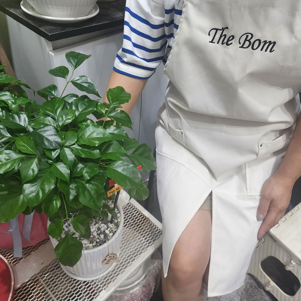 방수 버클 앞치마 단체제작 카페 바리스타 꽃집 미용 로고자수가능