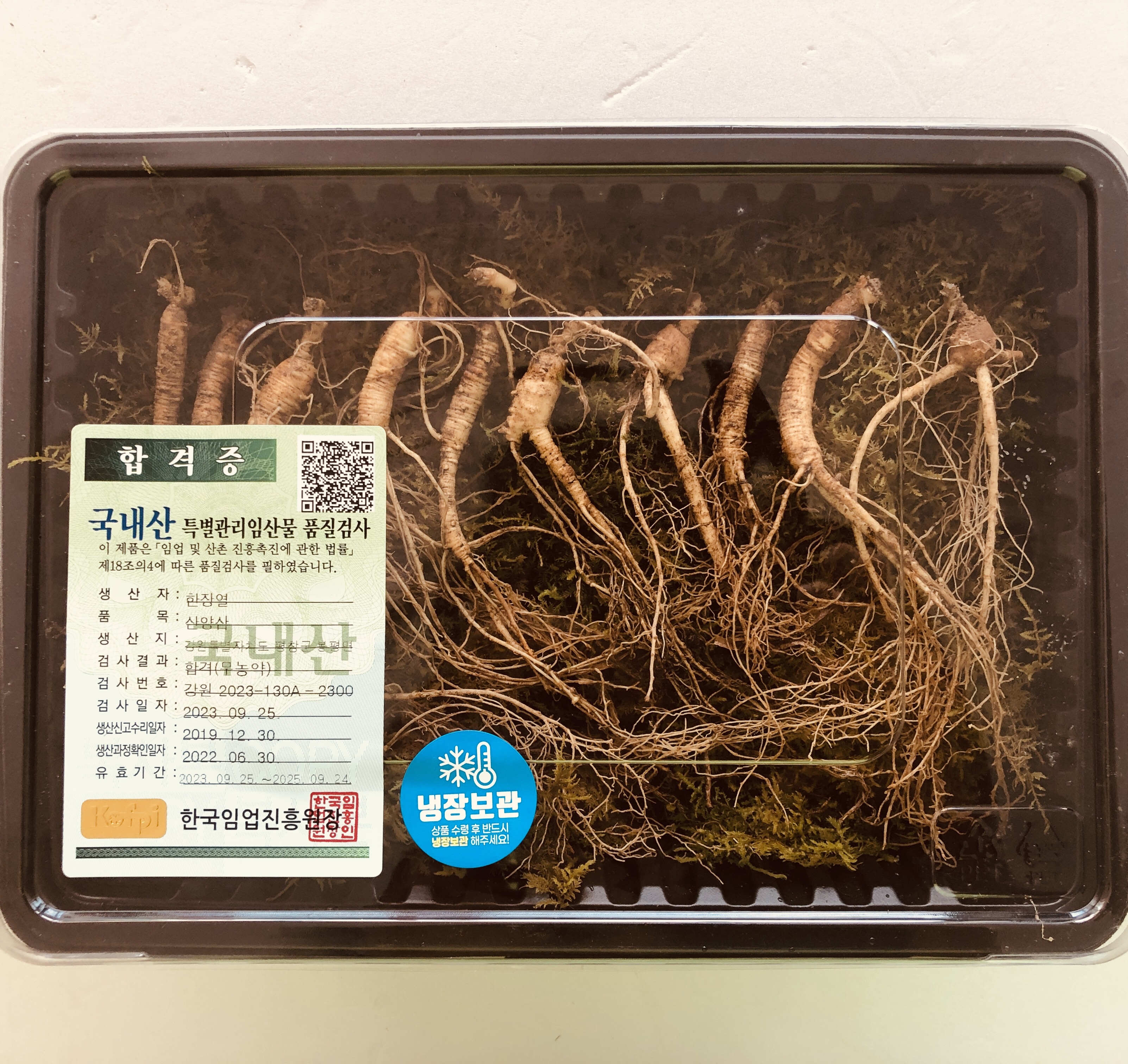 [롯데백화점 입점] 상산재 산양삼 장뇌삼 산양산삼 산삼 6년근 10뿌리 - 상세 이미지 5