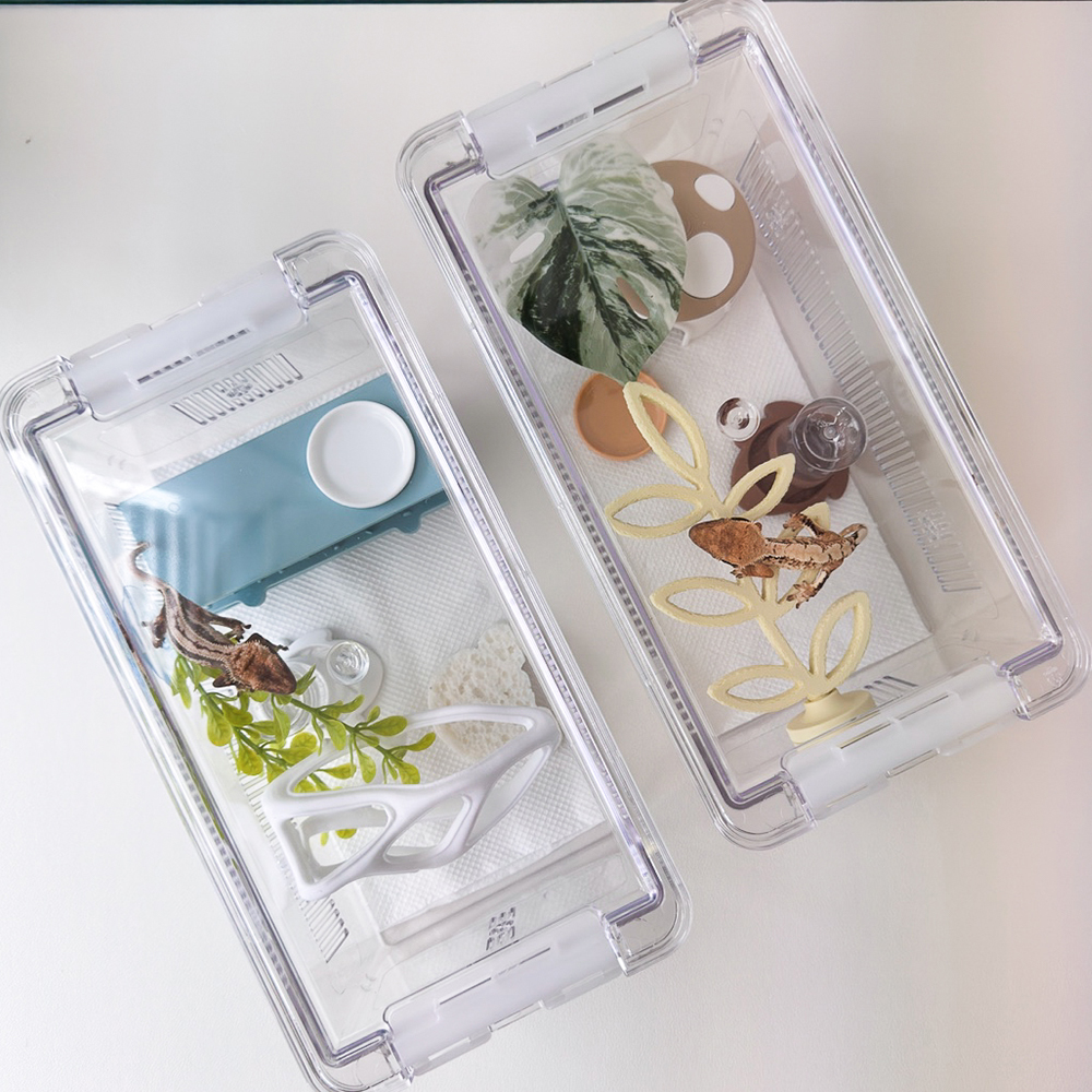 크레세오 적재형 도마뱀 사육장 조이클린케이지 크레스티드게코사육장 조이클린 중