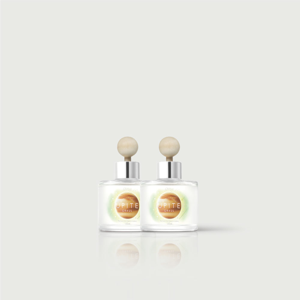 [1+1] 오르브 차량용 방향제 새차선물 자동차 카 디퓨저 120ml