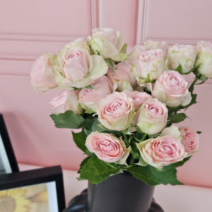 유스풀몰 미니장미한다발 생화 꽃 택배 꽃배달싼곳 솔직 후기 | 실사용자 리뷰 분석 - 상품 이미지 1